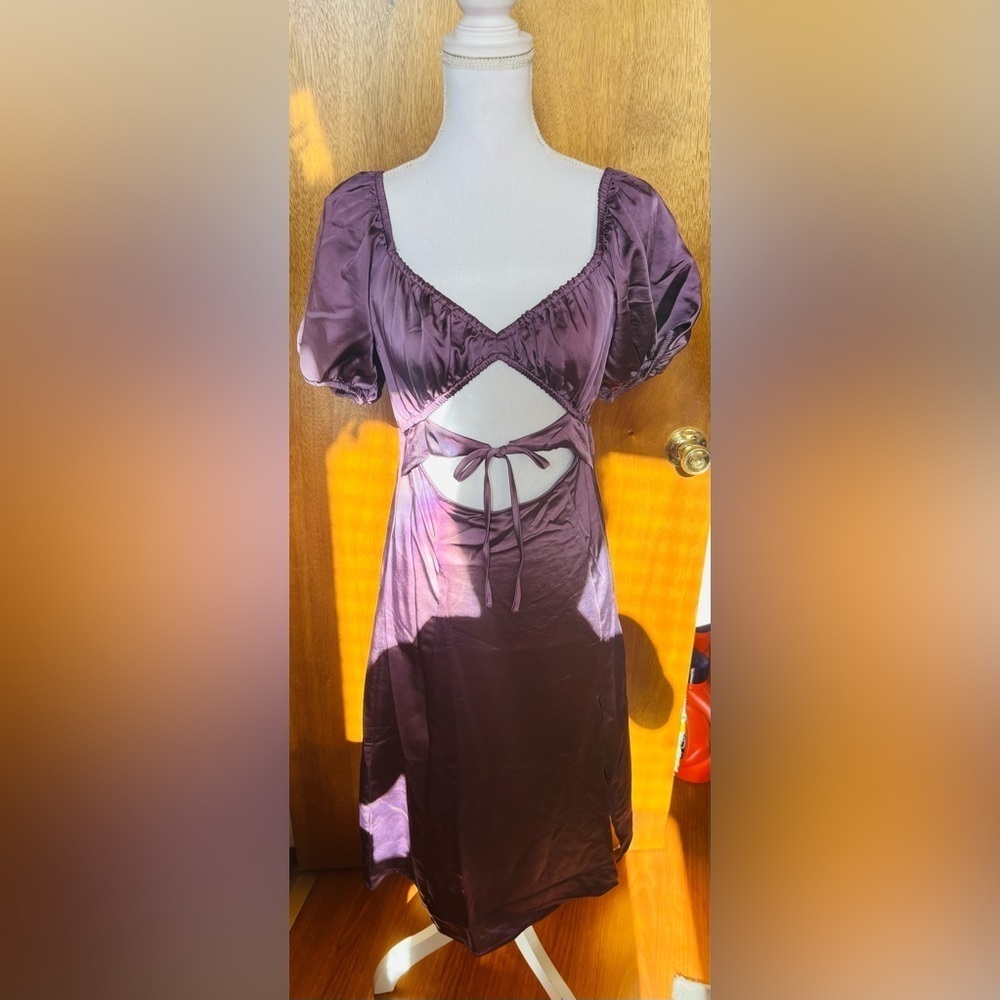 Plum Purple Satin Type Dress NWT Small